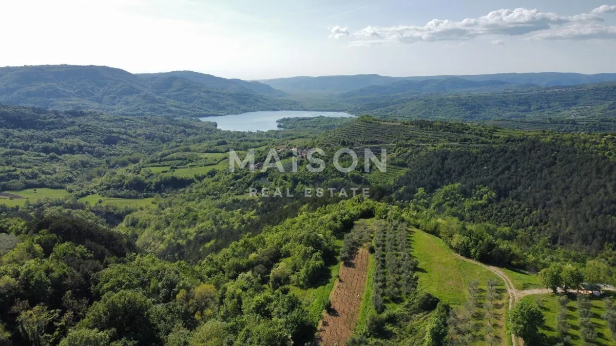 Istra, Grimalda - Građevinsko zemljište 1.162 m2