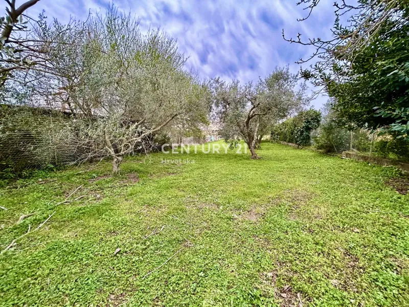 UMAG, TERRENO EDIFICABILE A SOLI 1,5 KM DAL MARE – 3