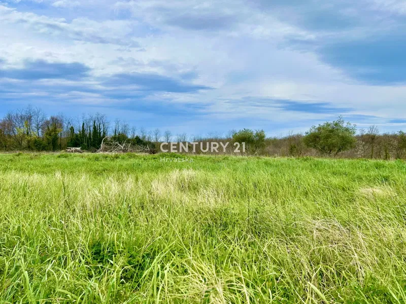 UMAG, TERRENO EDIFICABILE A SOLI 1,5 KM DAL MARE – 2