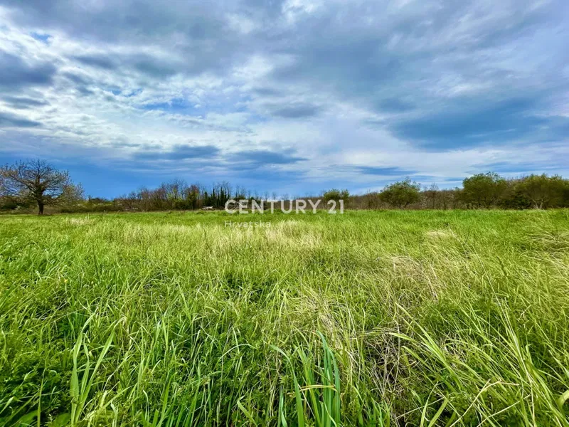 UMAG, TERRENO EDIFICABILE A SOLI 1,5 KM DAL MARE – 3