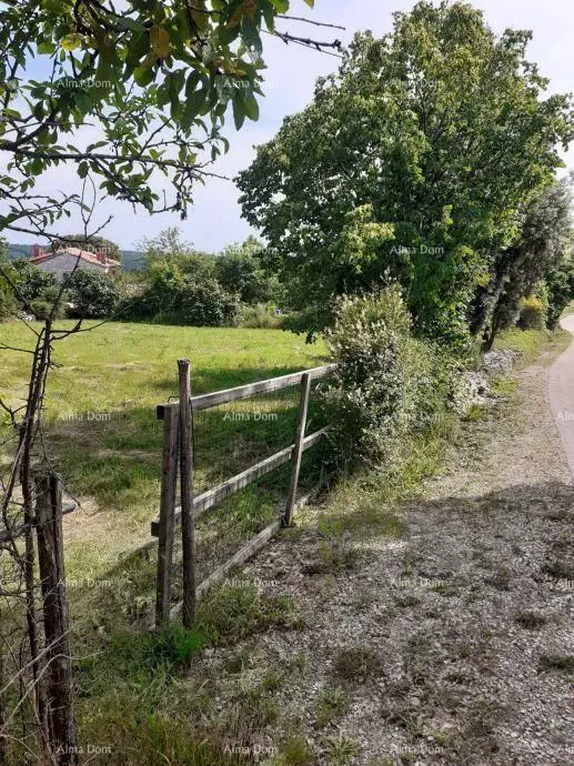 Sale of a house with two building plots – Tinjan – 2