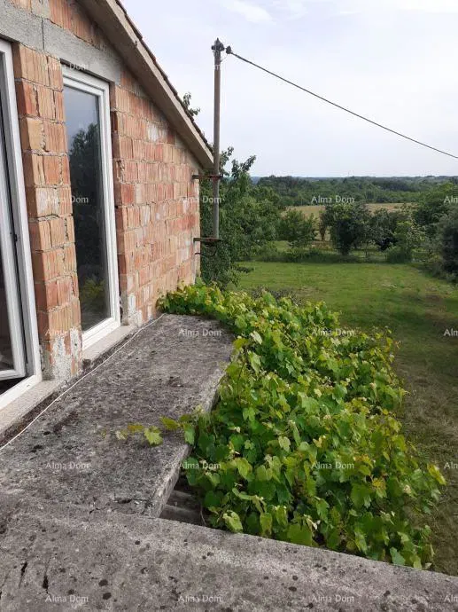 Sale of a house with two building plots – Tinjan – 3