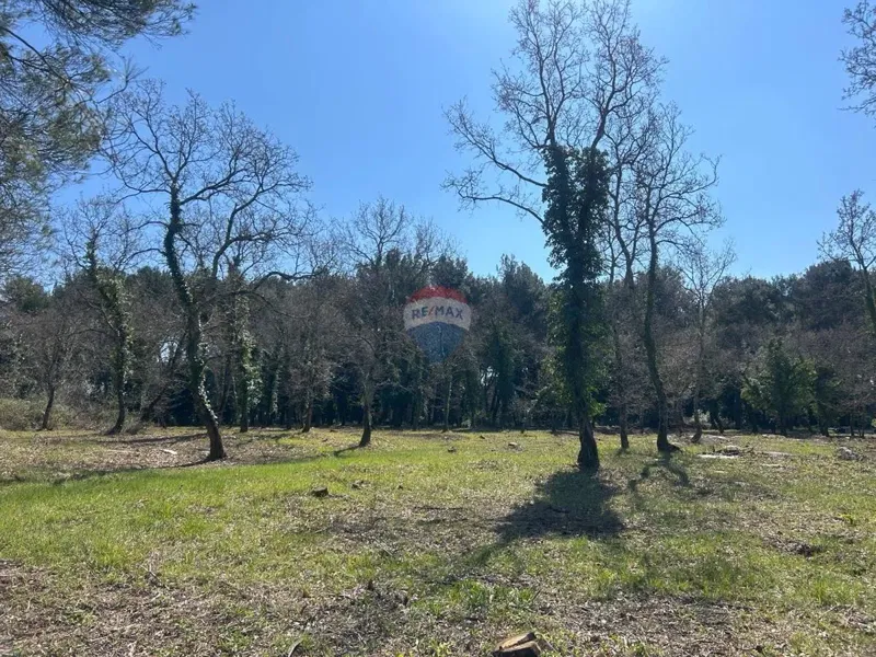 Terreno edificabile Višnjan, 5.742m2 – 3