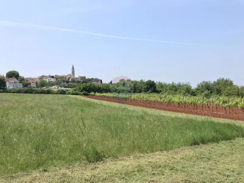 Terreno edificabile Višnjan, 1.027m2 – 2
