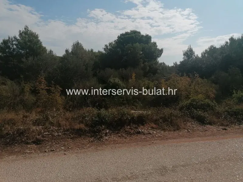 .::: Agricultural land near the sea :::. – 2