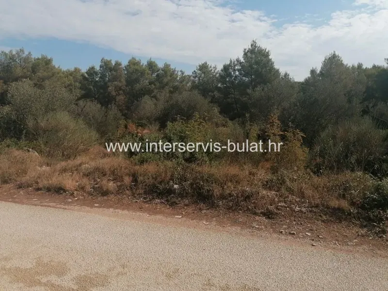 .::: Agricultural land near the sea :::. – 3