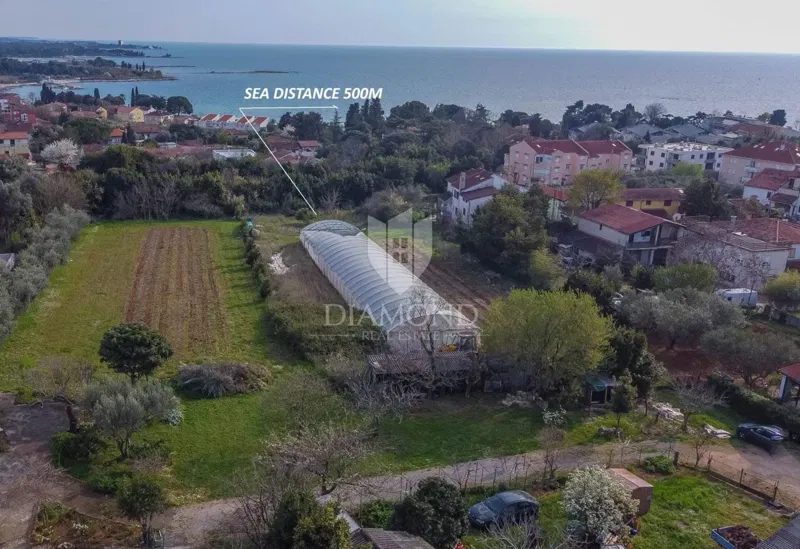 Telek Umag – 2