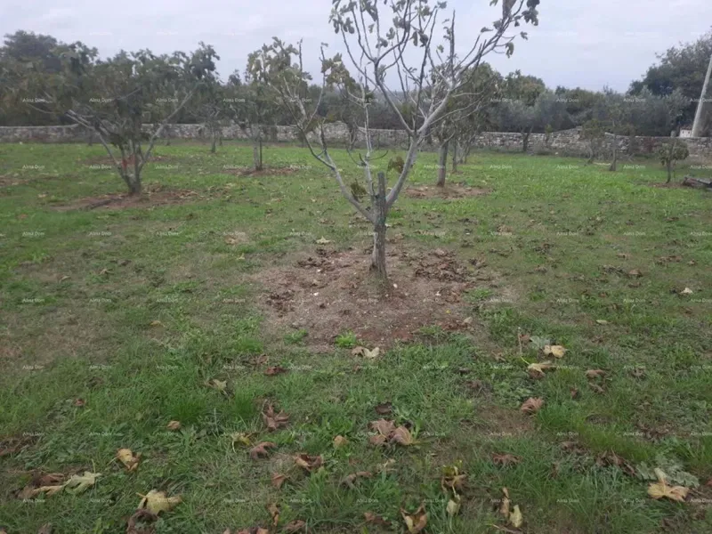 Marčana – Construction Land 2102 m² – 3