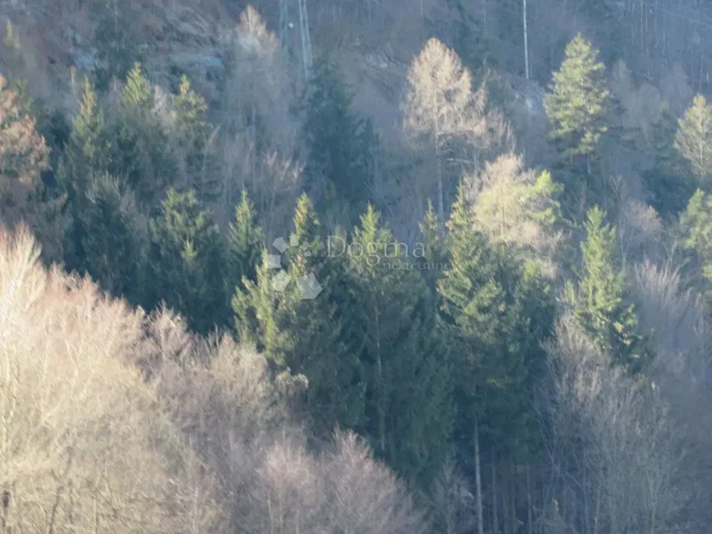 Ziemia rolna Nebljusi, Donji Lapac, 6.686m2 – 2