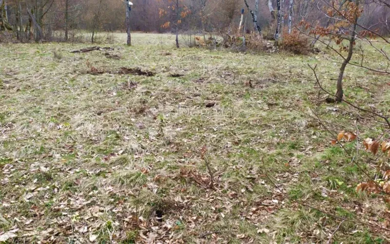 Ziemia rolna Nebljusi, Donji Lapac, 6.686m2 – 3