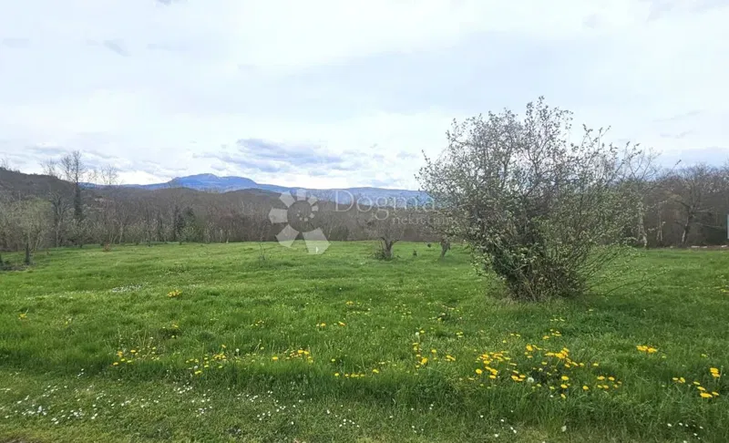 Bauland Pićan, 766m2