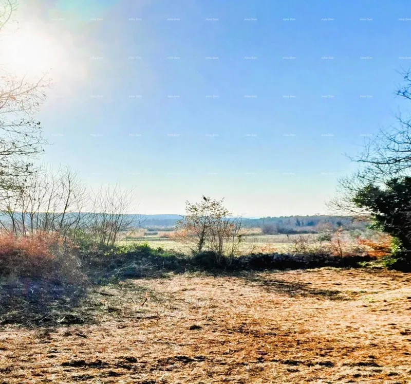Višnjan – terreno edificabile di 3.500 m² – 3