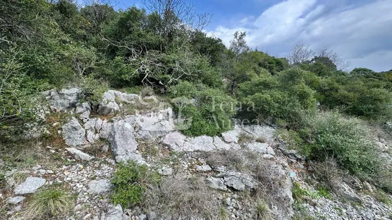 Farmland Krk, 3.700m2 – 2