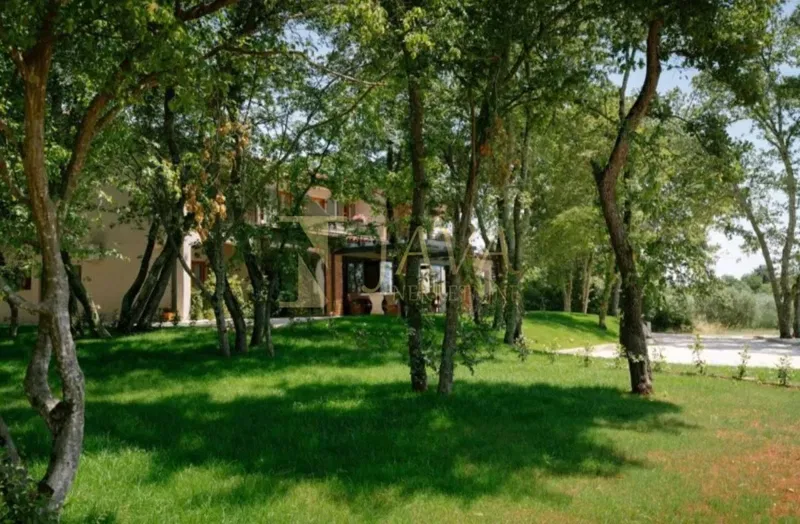 Commerciale Žbandaj, Poreč, 650m2 – 3