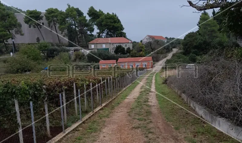 Dubrovnik area, Šipanska Luka, ecological agricultural land, attractive! – 3