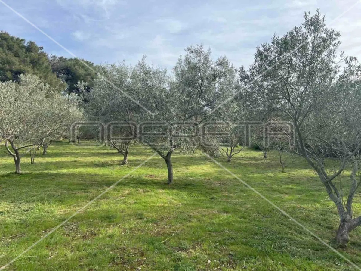 Punta Križa, Mali Lošinj, 4.260,00 m2, 249.000,00 EUR