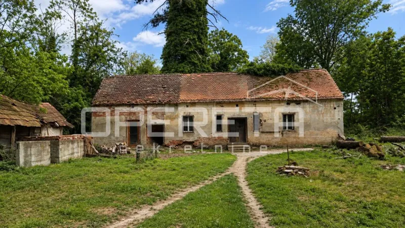 Terreno agricolo con edifici, 85.985 m2, Ferdinandovac – 3