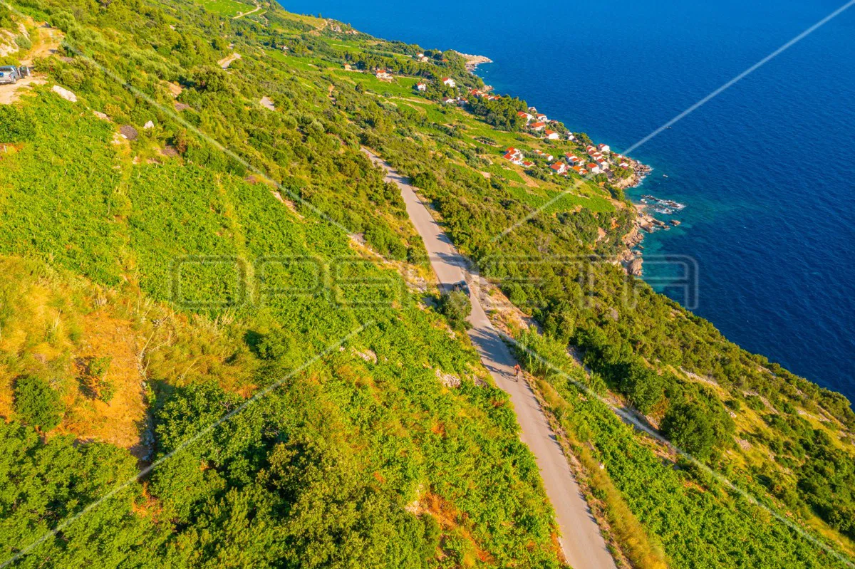 Grundstück, 12.257 m2, Dingač, Pelješac, 40 EUR/m2