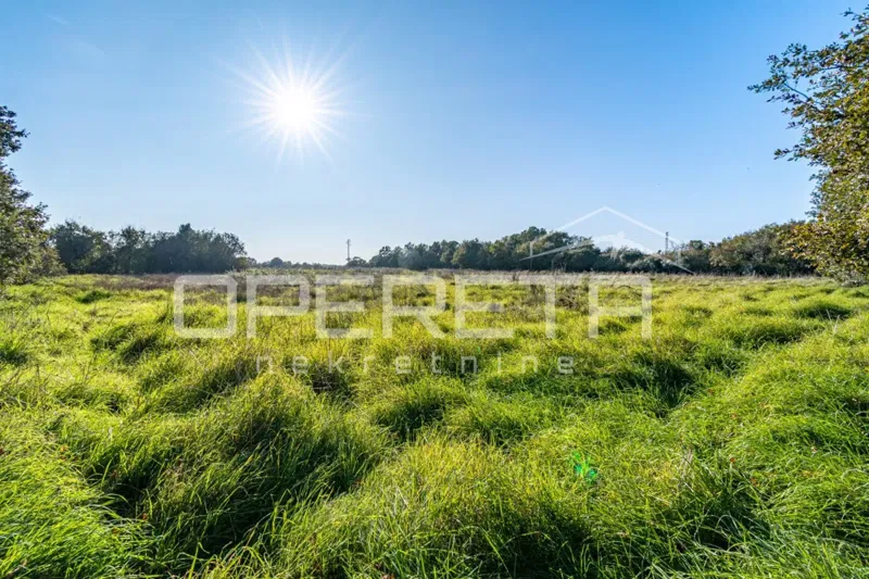 Investimento, Šišan terreno agricolo su più particelle per un totale di 12.824 m2 – 2