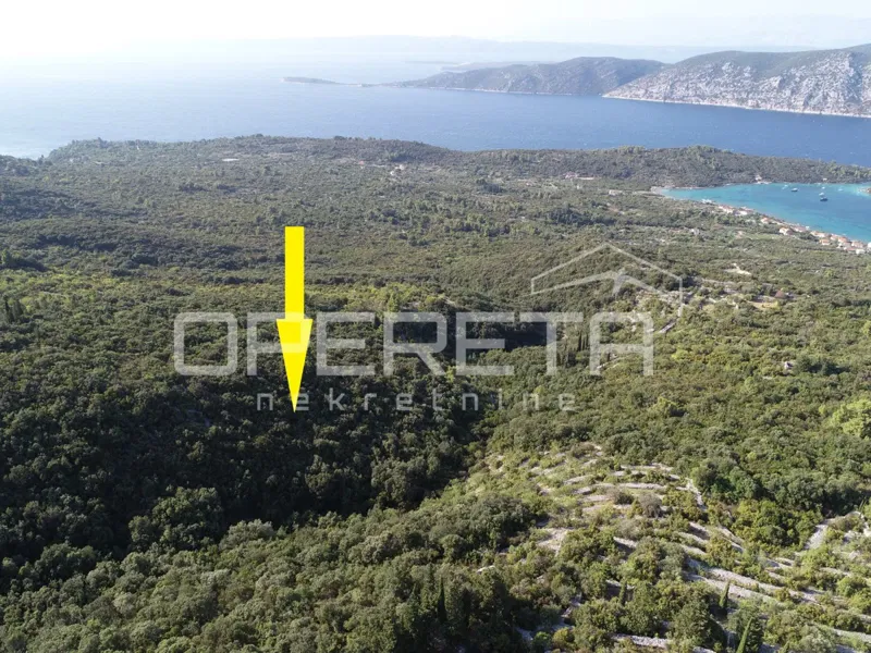 Terreno agricolo con potenziale – 9435 m2 nel cuore della natura – 2