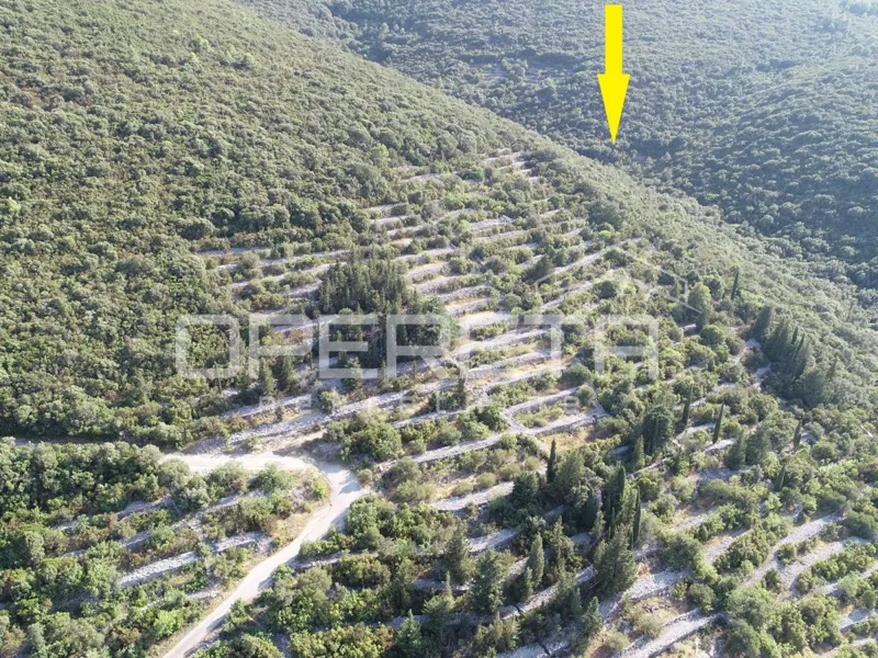Terreno agricolo con potenziale – 9435 m2 nel cuore della natura – 3