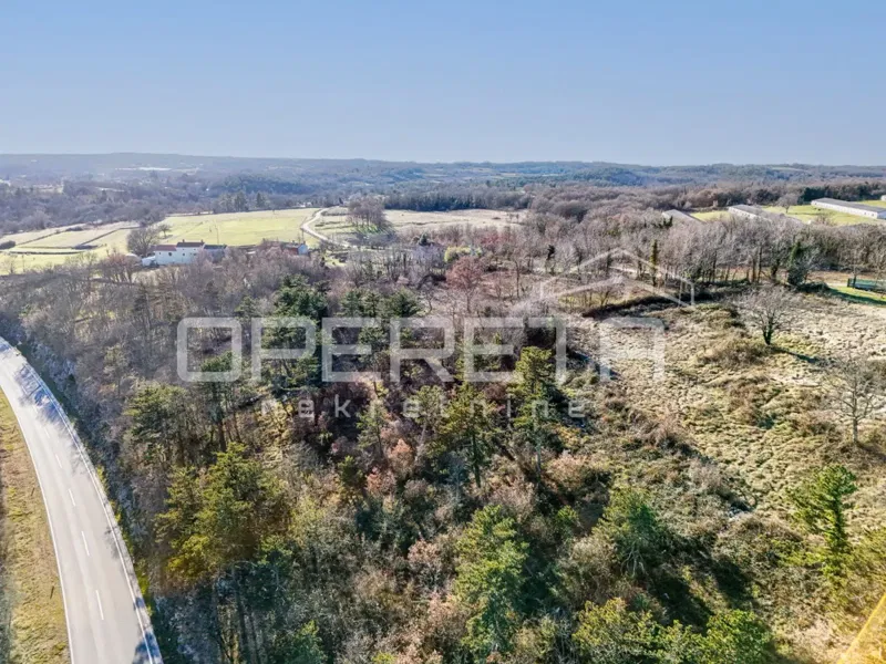 ISTRIA, TINJAN - Terreno edificabile a uso residenziale