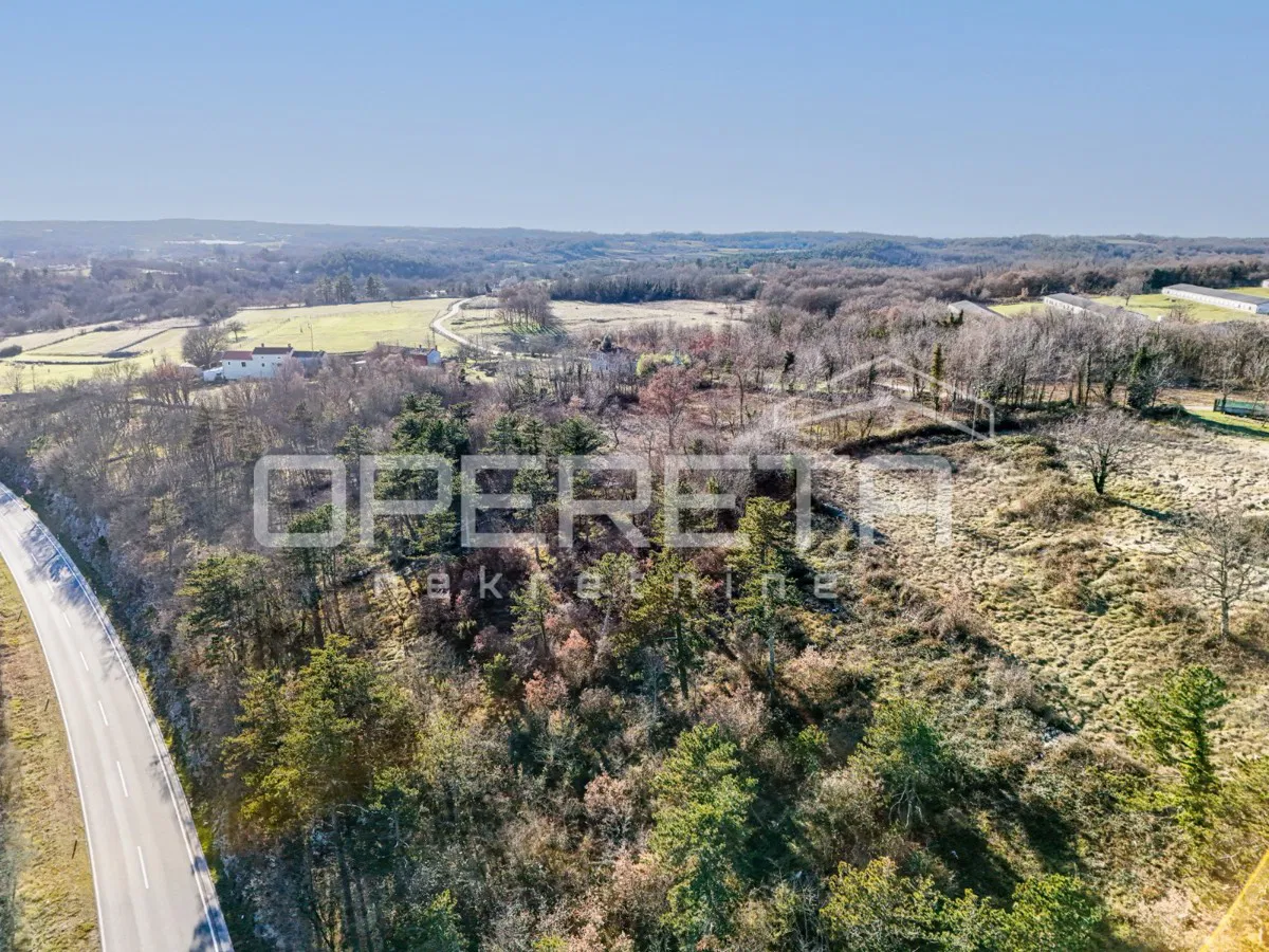 ISTRIA, TINJAN - Terreno edificabile a uso residenziale