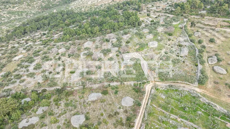 Terreno agricolo di 14.049 m2 a Brač – rara opportunità di sviluppo – 2