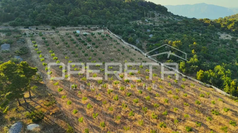 Terreno agricolo con 500 mandorli e vista mare, Brač – 2