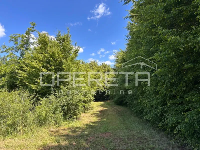 Juršići, Juršići, 2.449,00 m2, 83.000,00 EUR – 2