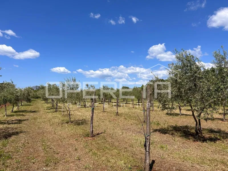 Juršići, Juršići, 2.449,00 m2, 83.000,00 EUR – 3
