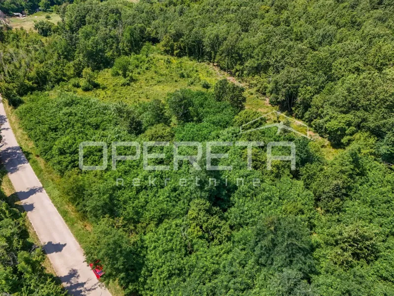 Istria, Poreč area - Agricultural land by an asphalted road – 2