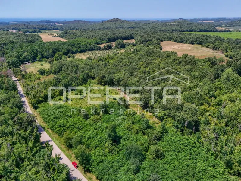 Istria, Poreč area - Agricultural land by an asphalted road – 3