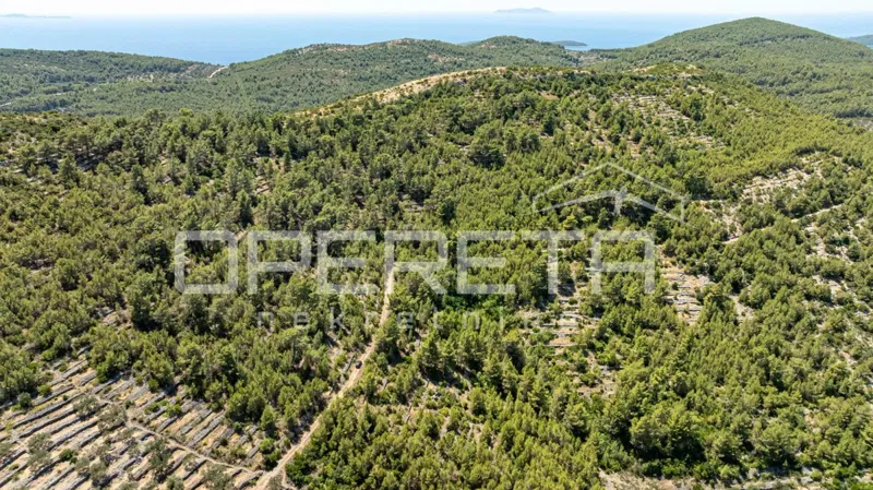 Terreno agricolo, 8.956 m2, in contesto naturale – Vela Luka – 2