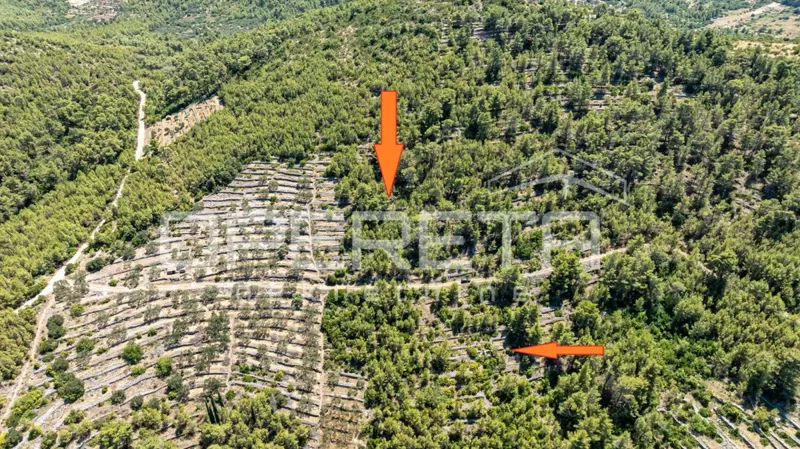 Terreno agricolo, 8.956 m2, in contesto naturale – Vela Luka – 3