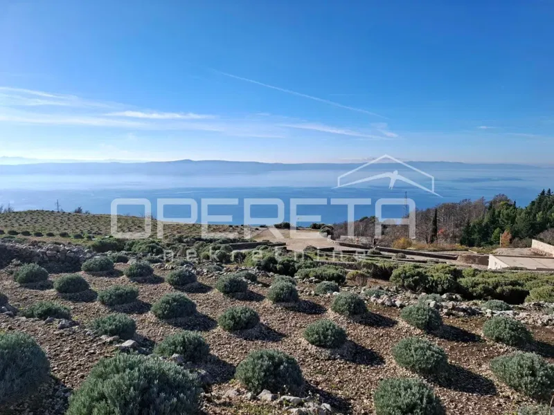 Podgora - poljoprivredno zemljište s panoramskim pogledom