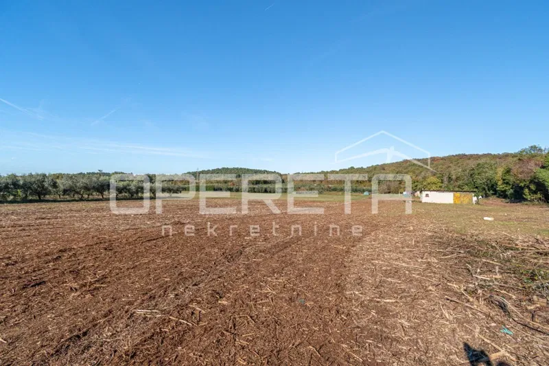 Poreč – terreno agricolo attraente con infrastrutture e uliveto – 2