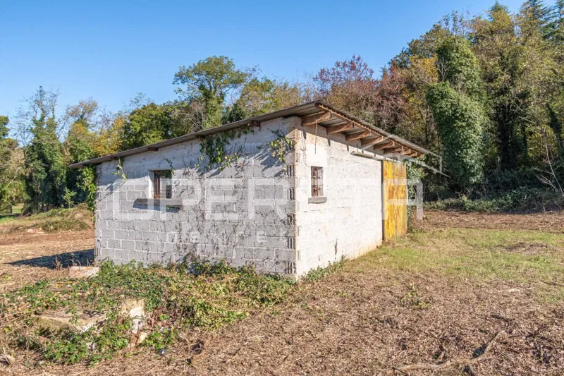 Poreč – terreno agricolo attraente con infrastrutture e uliveto – 3