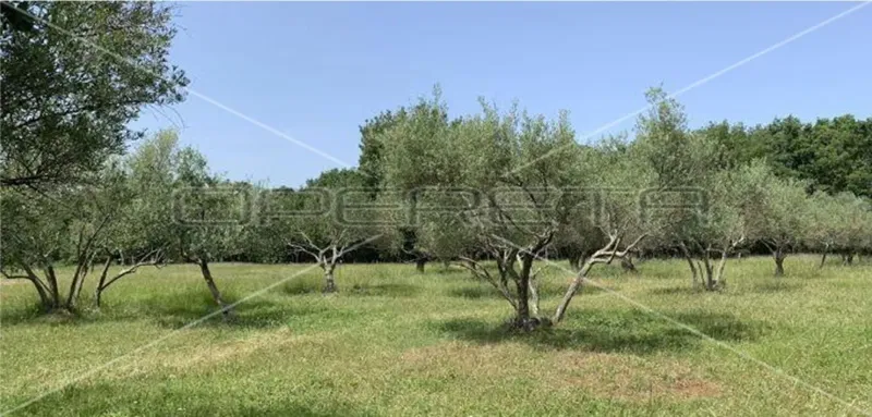 Kršete, Kršete, 22,586.00 m2, 490,000.00 EUR – 2