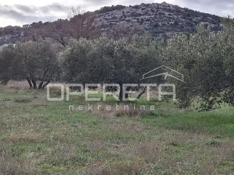 Bilice, terreno edificabile di 3.719 m² - ideale per investimento – 2