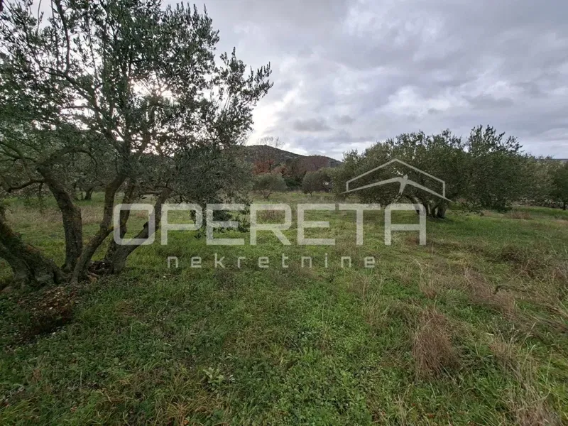 Bilice, terreno edificabile di 3.719 m² - ideale per investimento – 3