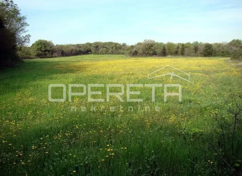 Building land surrounded by nature – ideal for premium villas – 2