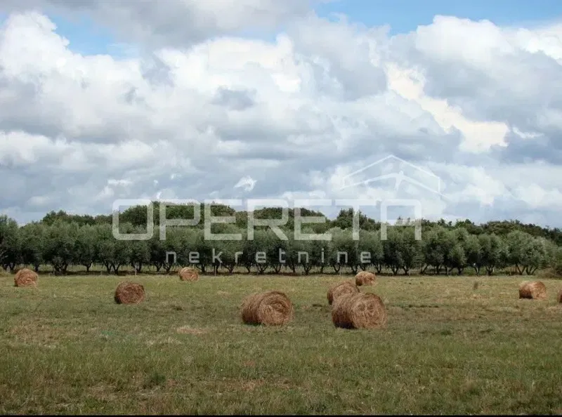 Building land surrounded by nature – ideal for premium villas – 3