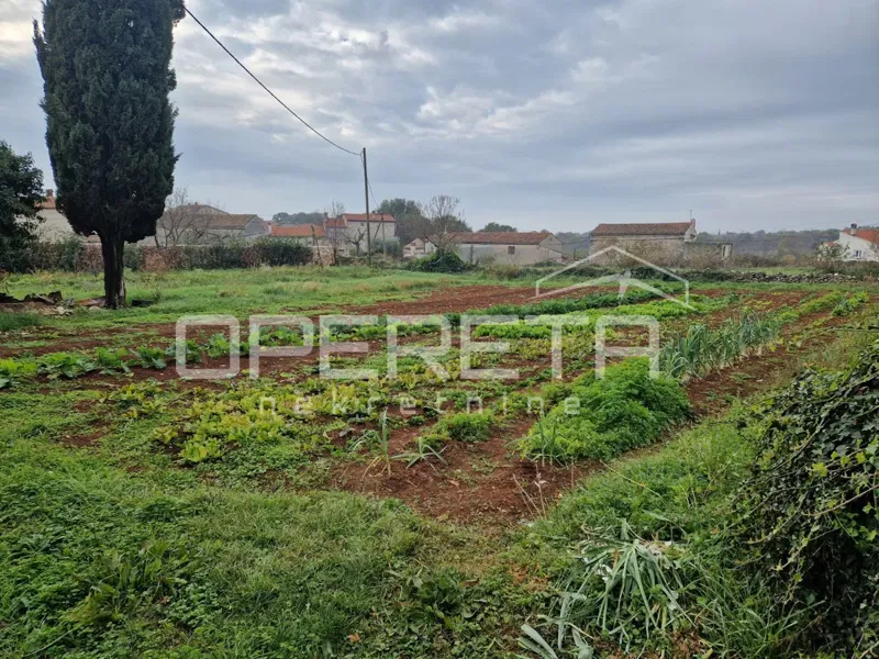 Istria, Manjadvorci, Proprietà con tre case in rovina, terreno e progetto preliminare – 2