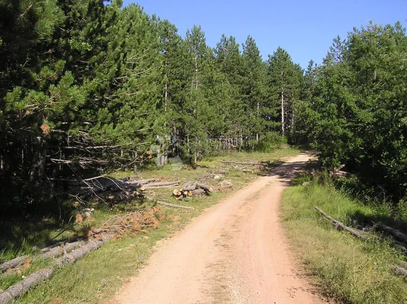 Земля под застройку Rudopolje Bruvanjsko, Gračac, 58.188m2 – 2