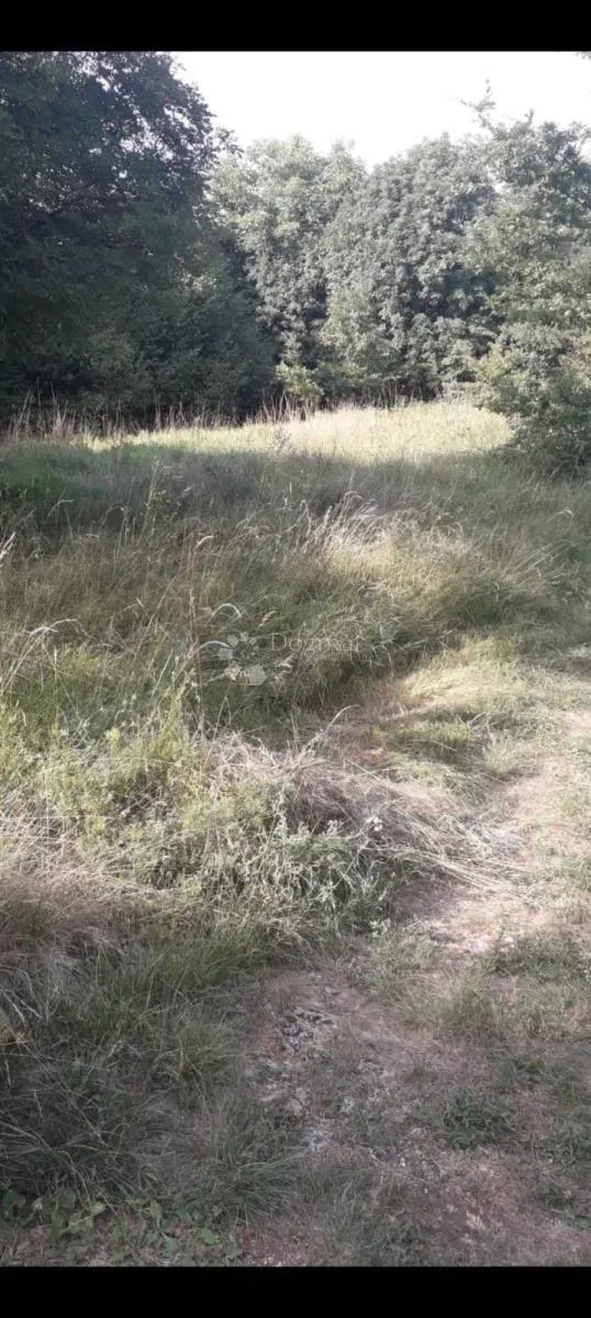 Építési telek Veli Brgud, Matulji, 3.500m2 – 3