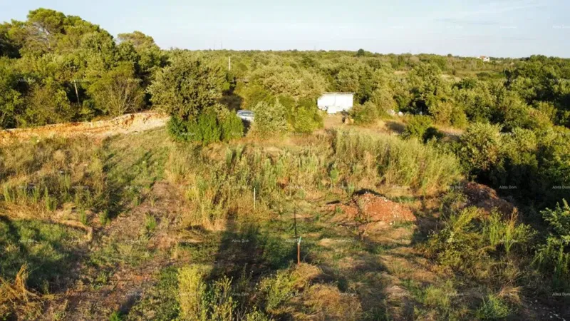 Vodnjan – terreno edificabile e agricolo di 8000 m² – 2