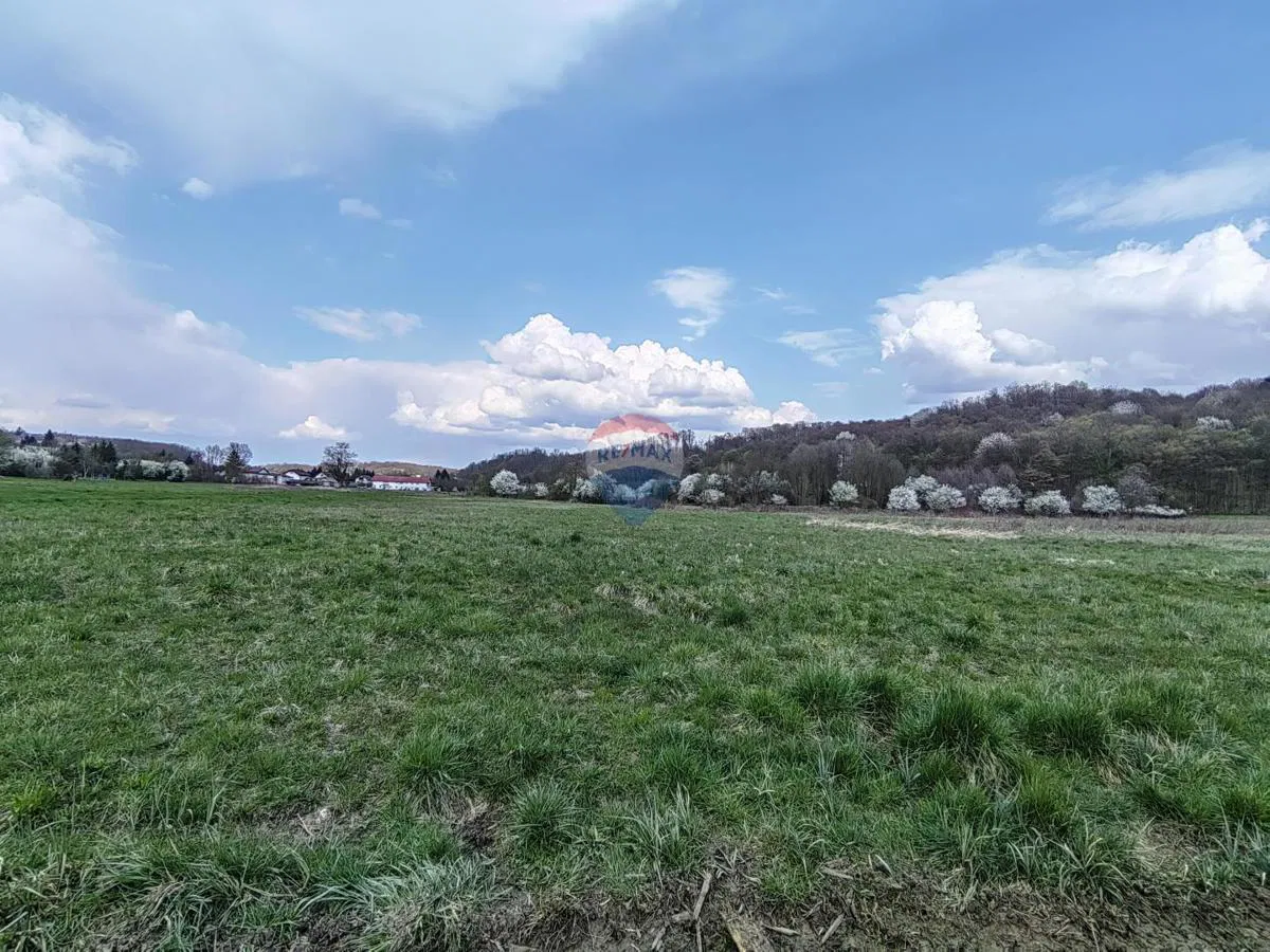 Donja Zelina - građevinsko zemljište 5000 m2
