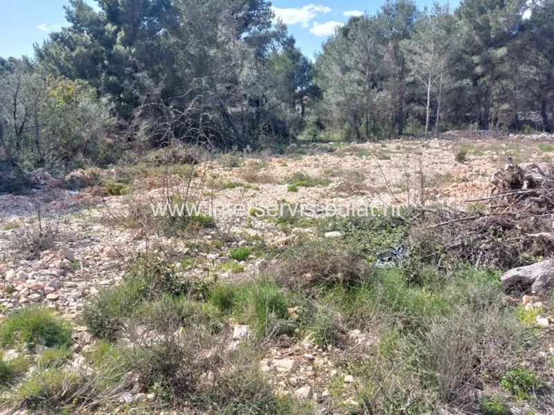 Terreno Srima – 3