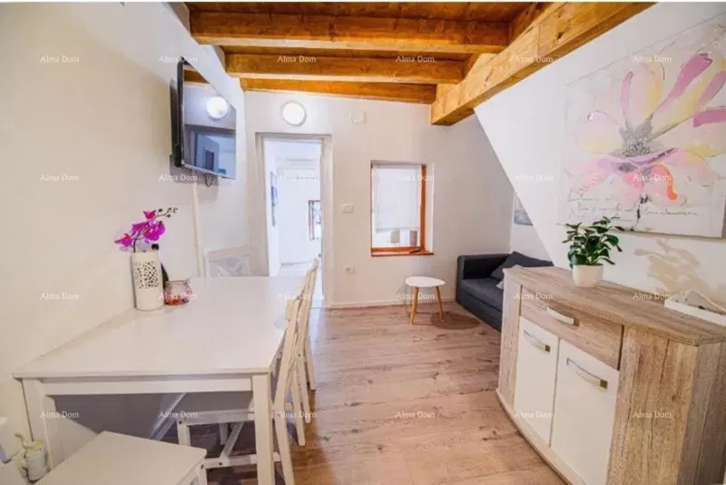 Sale of a furnished and renovated apartment - first row to the sea! Umag – 3